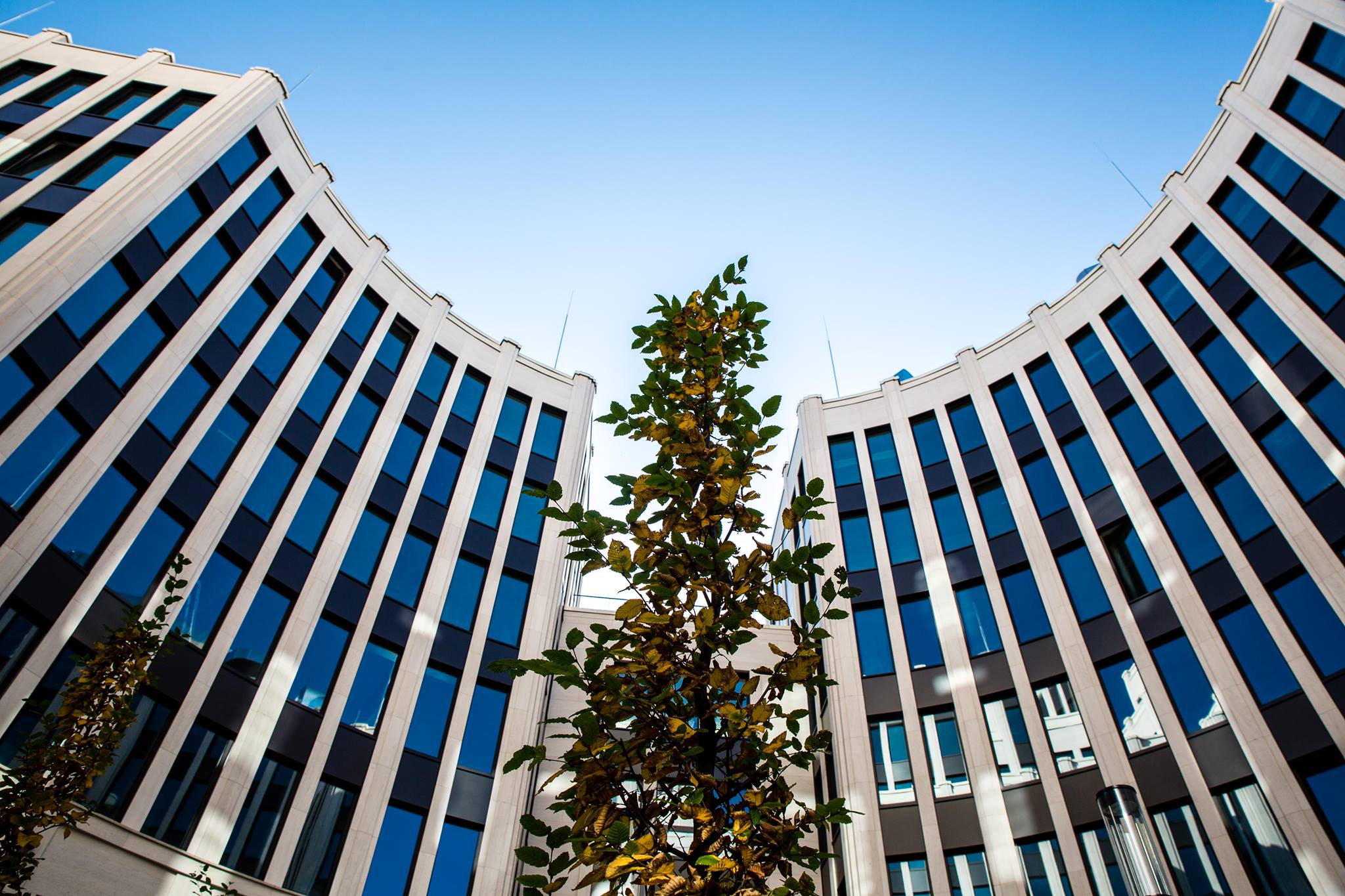 Berlin Office Blinds